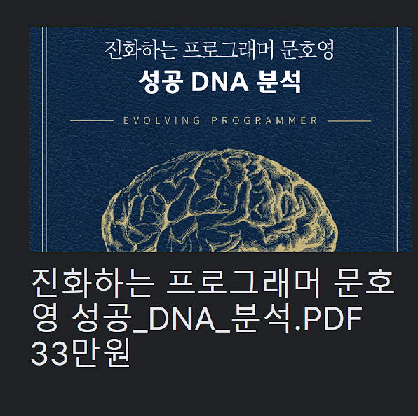 프로그래머 문호영 대표님 전자책 소개